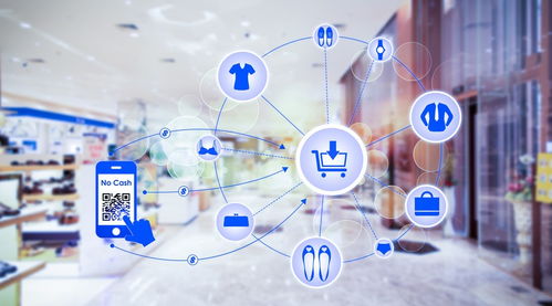 快消品二維碼營(yíng)銷(xiāo)系統(tǒng)的開(kāi)發(fā)與應(yīng)用