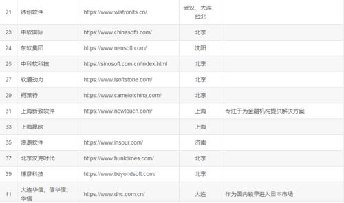 2023年國內(nèi)主流IT軟件外包公司盤點(diǎn)與分析