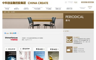 中科創(chuàng)金融控股集團(tuán)官方網(wǎng)站設(shè)計制作成功案例
